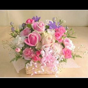 Meet your Posher, Stanka